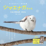 まんまるかわいい雪の妖精　シマエナガちゃん CALENDAR 2024