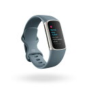 Fitbit Charge 5、Platinum/Mineral Blue、FRCJK 健康管理トラッカー【Suica対応】