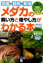 メダカの飼い方と増やし方がわかる本 図鑑＆飼育＆繁殖 [ 青木崇浩 ]