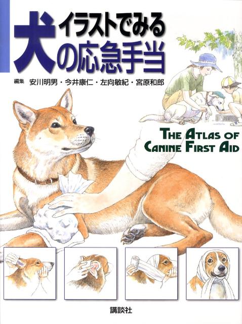 イラストでみる犬の応急手当 （KS農学専門書） [ 安川 明男 ]