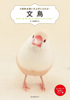 文鳥 育て方、食べ物、接し方、病気のことがすぐわかる!の表紙