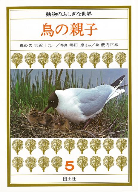 【バーゲン本】鳥の親子ー動物のふしぎな世界