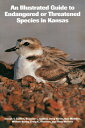 An Illustrated Guide to Endangered or Threatened Species in Kansas ILLUS GT ENDANGERED OR THREATE （Kansas Nature Guides） 