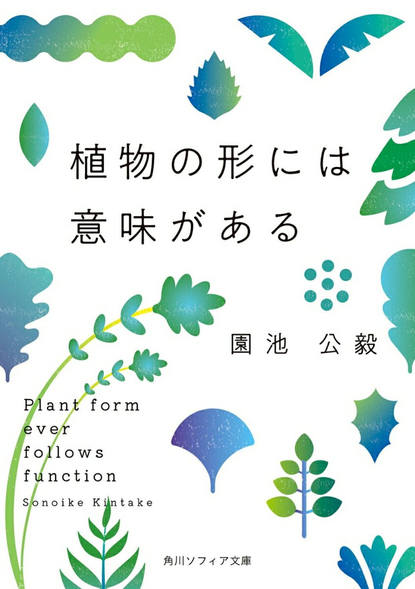 植物の形には意味がある