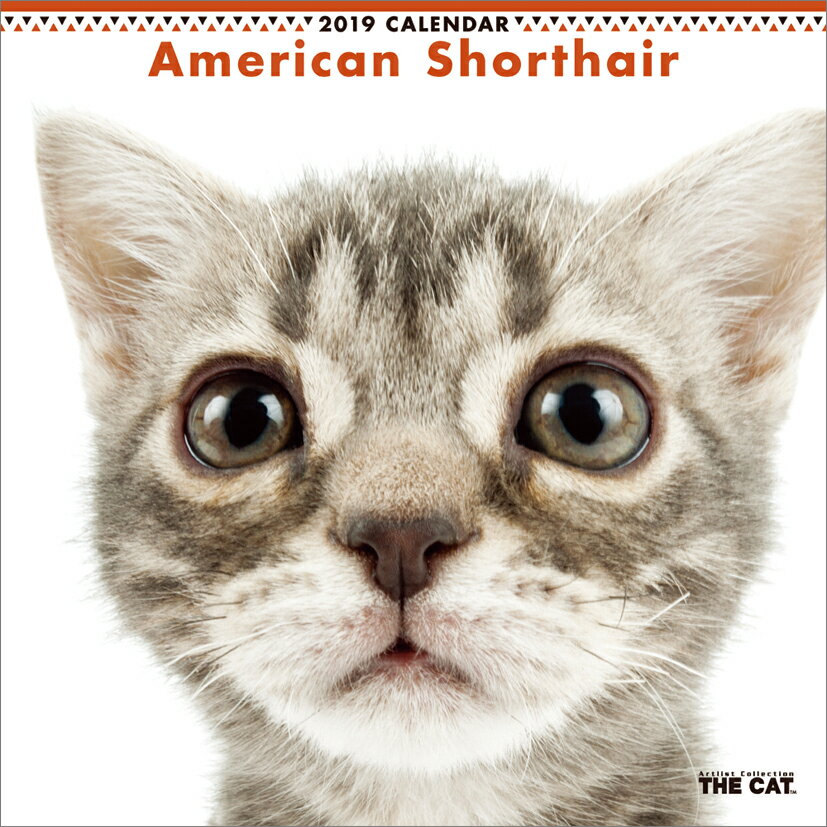 アメリカン・ショートヘア（2019年1月始まりカレンダー）