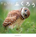 愛くるしいふくろうたちがたくさん登場！かわいいフクロウのとくにかわいいシーン満載の写真集。