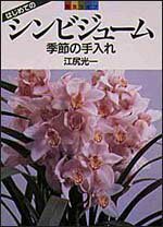 シンビジューム