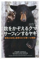 数をかぞえるクマサーフィンするヤギ