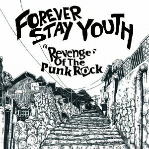Revenge of the Punk Rock