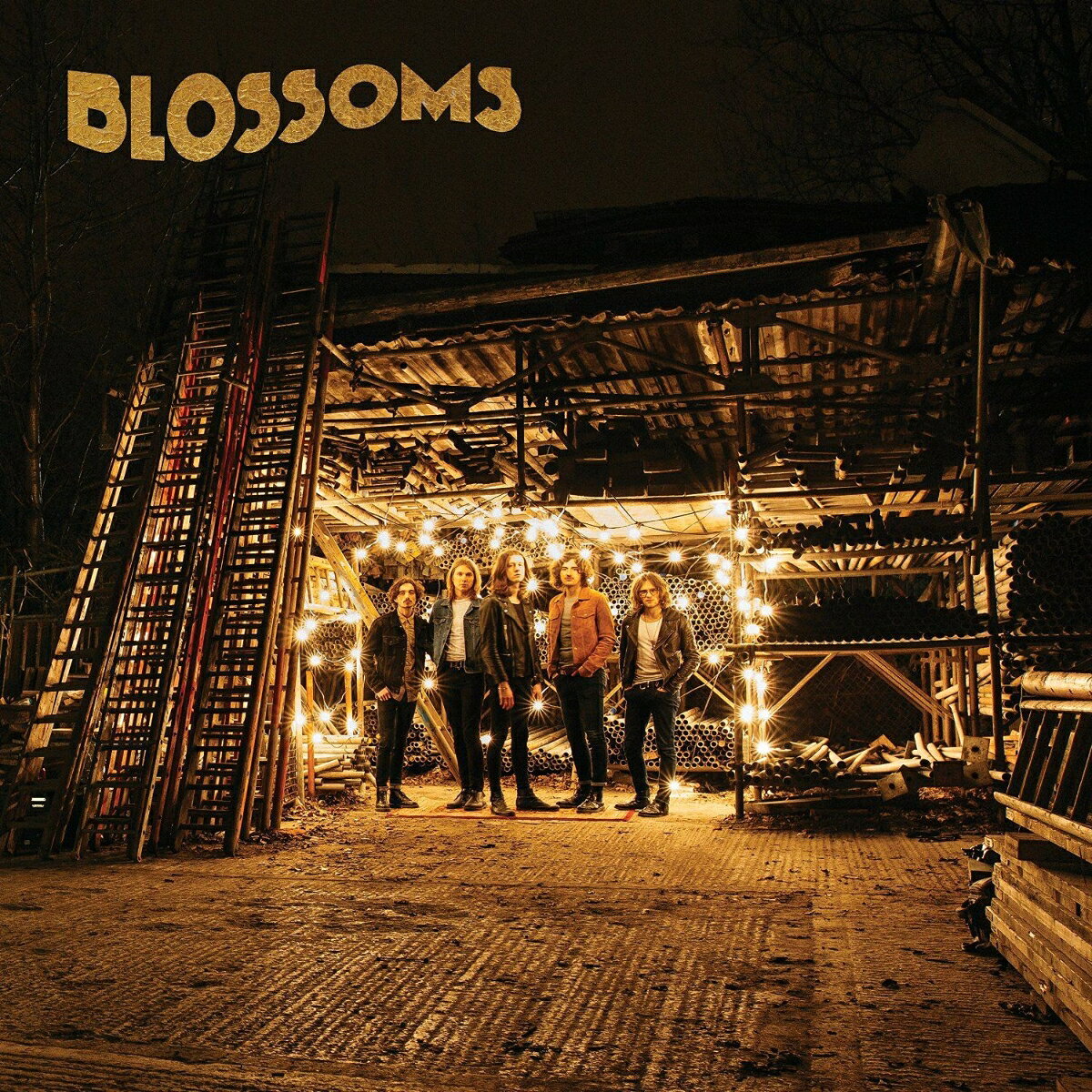 【輸入盤】Blossoms