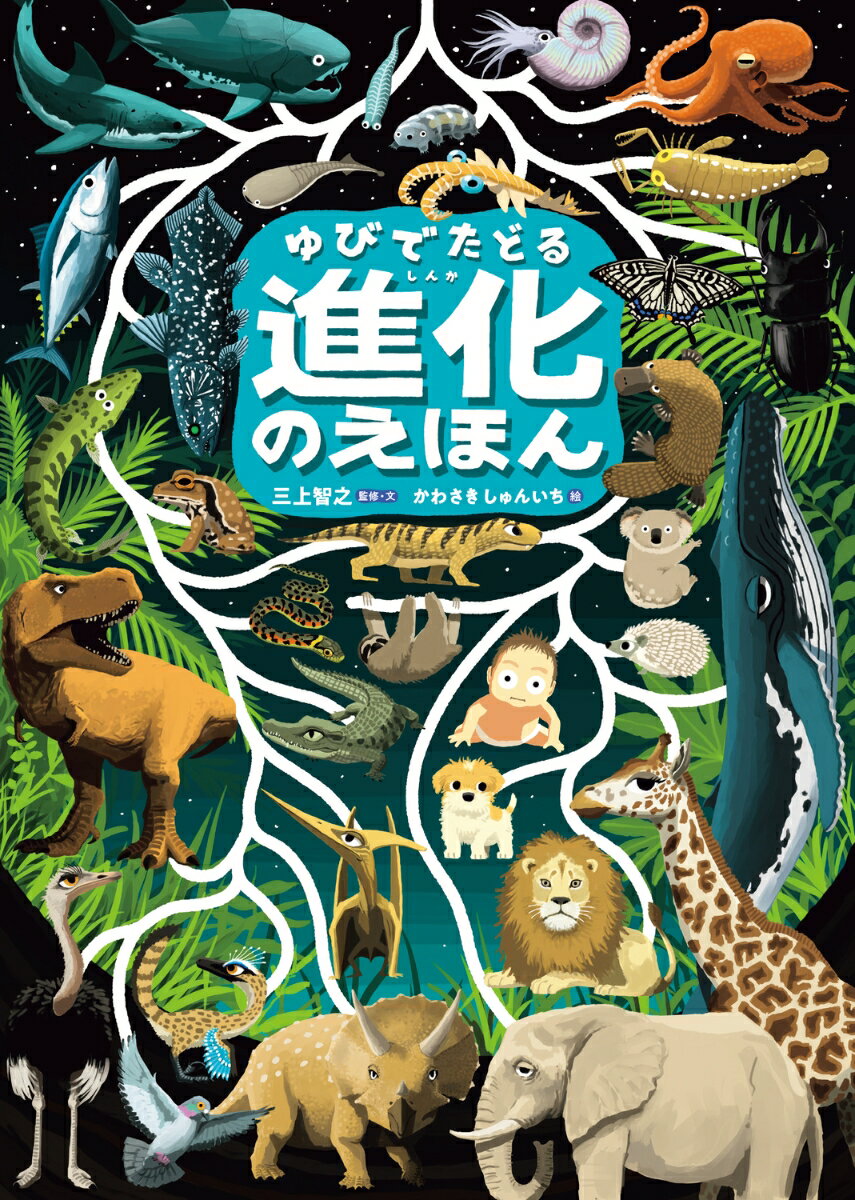 ゆびでたどる進化のえほん [ 三上　智之 ]のサムネイル