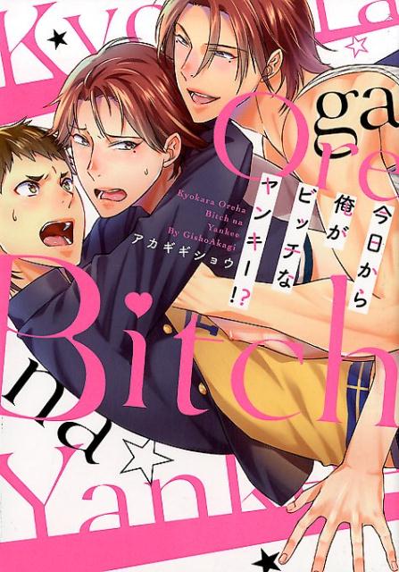 今日から俺がビッチなヤンキー!?の表紙