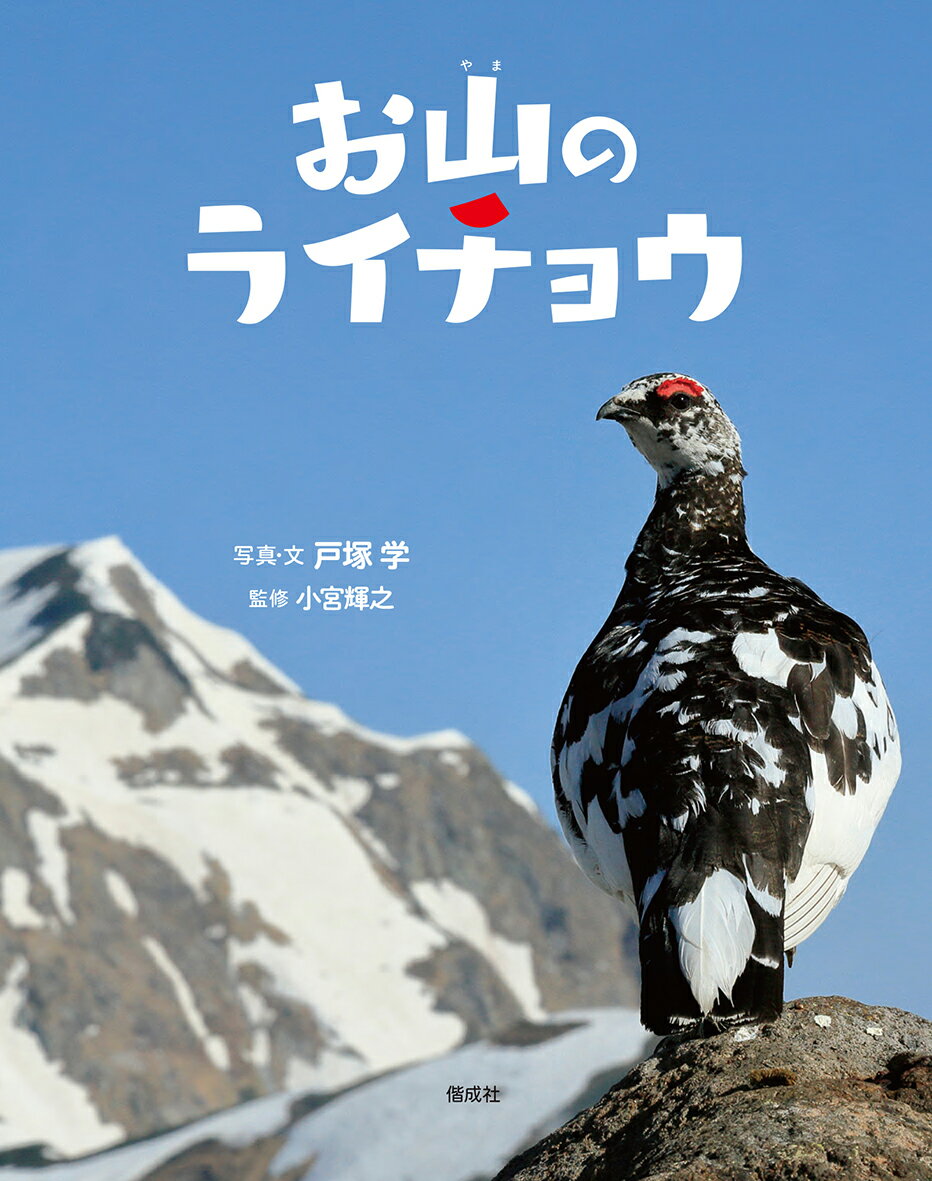 お山のライチョウ