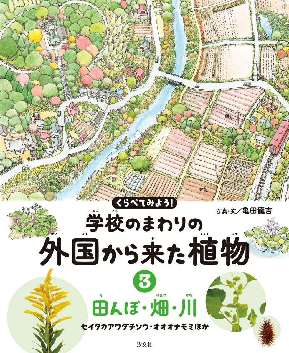 3田んぼ・畑・川　セイタカアワダチソウ・オオオナモミほか