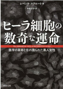 ヒーラ細胞の数奇な運命 医学の革命と忘れ去られた黒人女性 （河出文庫） [ レベッカ・スクルート ]