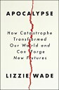 Apocalypse: How Catastrophe Transformed Our World and Can Forge New Futures APOC...