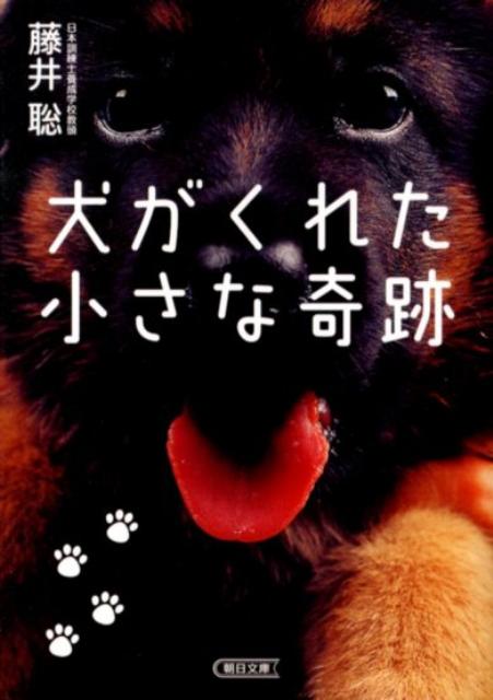 犬がくれた小さな奇跡