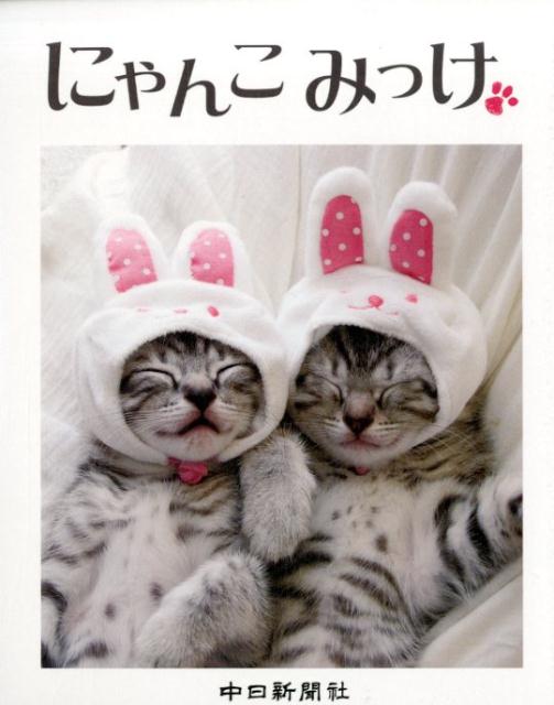 にゃんこみっけ