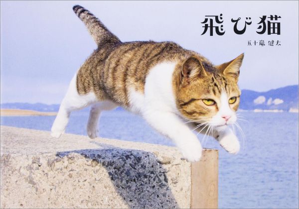 猫がジャンプする瞬間を捉えた“飛び猫”写真がテレビ、新聞、Ｆａｃｅｂｏｏｋで話題！４年間撮りためた猫写真１３０点収録！