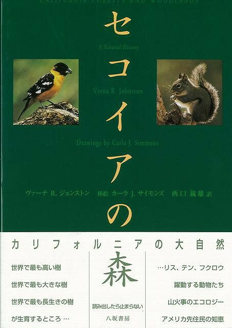 【バーゲン本】セコイアの森ーカリフォルニアの大自然