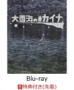 【先着特典】大雪海のカイナ ブルーレイBOX 【初回生産限定】【Blu-ray】(原作・弐瓶勉 コンセプトアート：A4ポートレート)