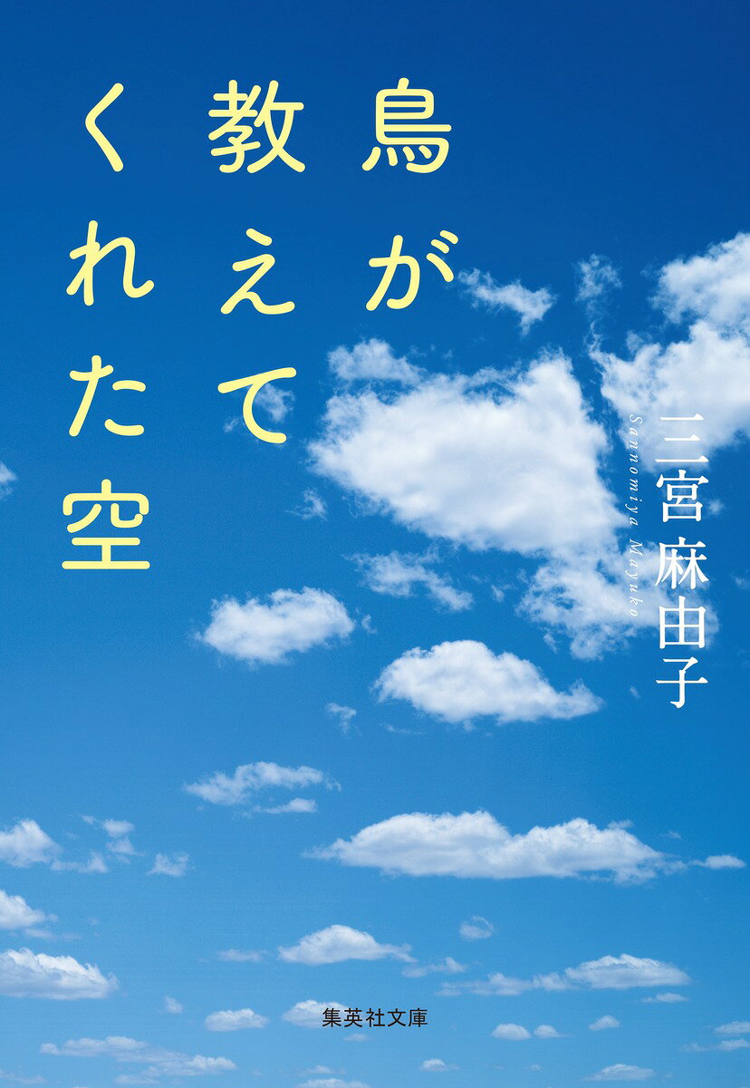 鳥が教えてくれた空 （集英社文庫(日本)） [ 三宮 麻由子 ]