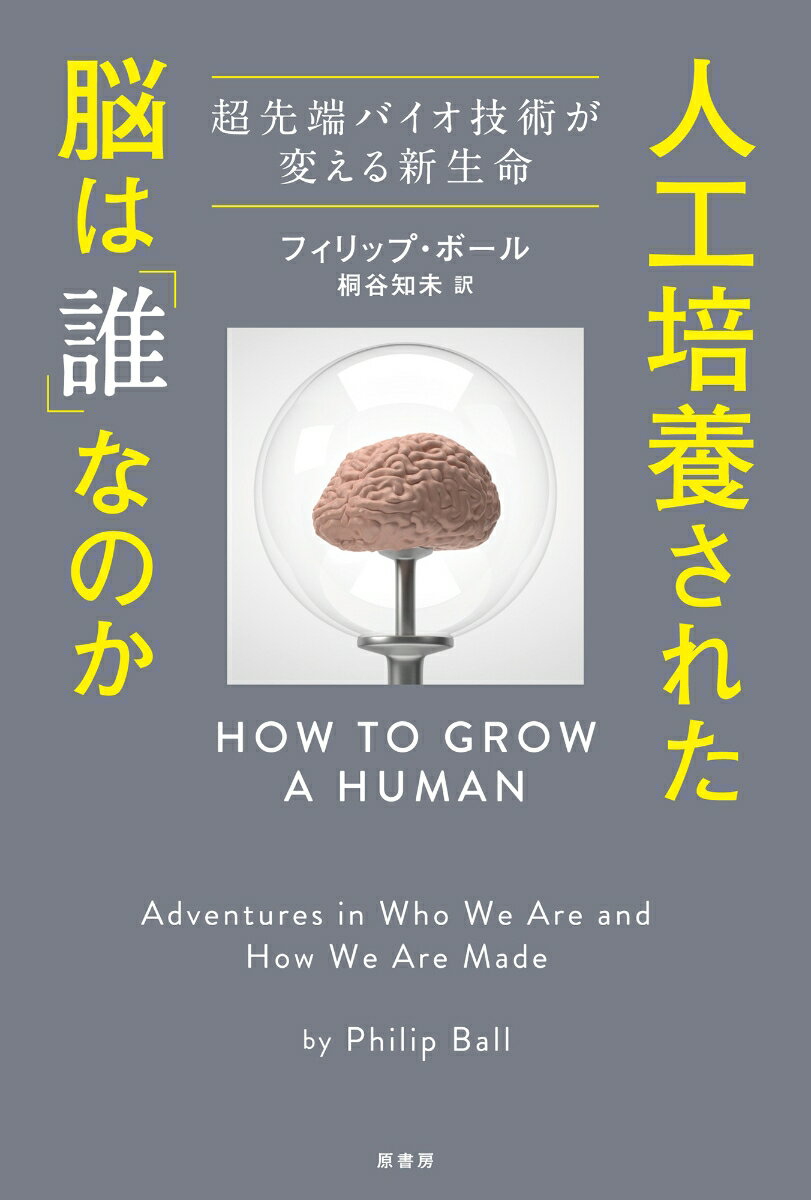 人工培養された脳は「誰」なのか