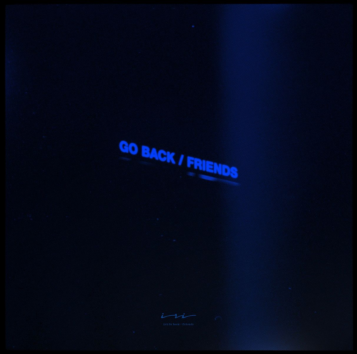 Go back/friends【アナログ盤】