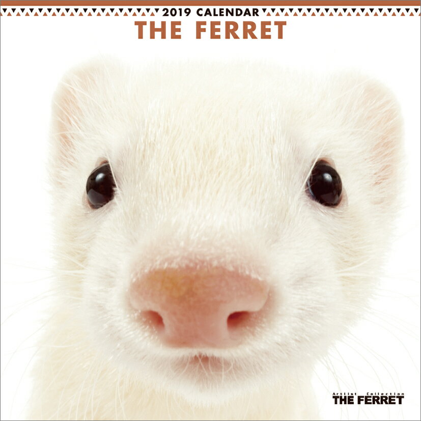 THE FERRET（2019年1月始まりカレンダー）