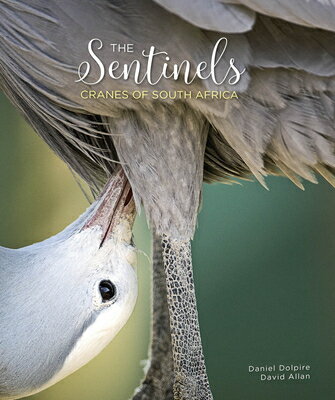 The Sentinels: Cranes of South Africa SENTINELS 