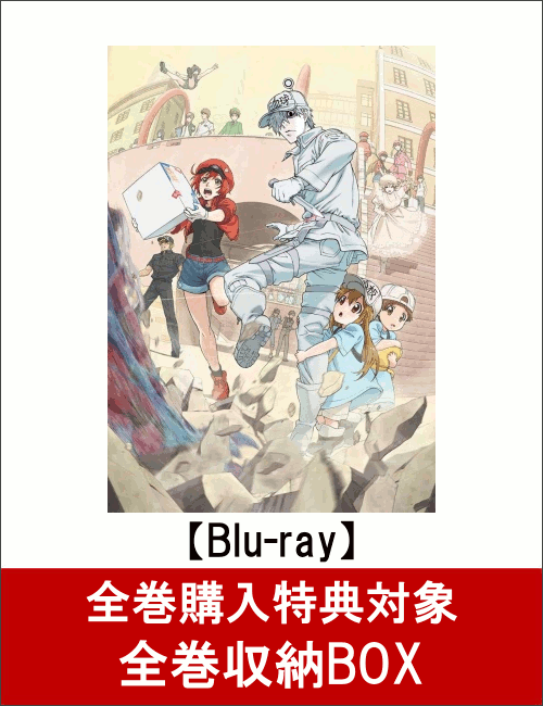 【全巻購入特典対象】はたらく細胞 6(完全生産限定版)【Blu-ray】