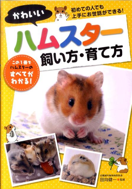 かわいいハムスター飼い方・育て方