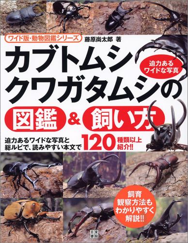 カブトムシ・クワガタムシの図鑑＆飼い方 （ワイド版・動物図鑑シリーズ） [ 藤原尚太郎 ]