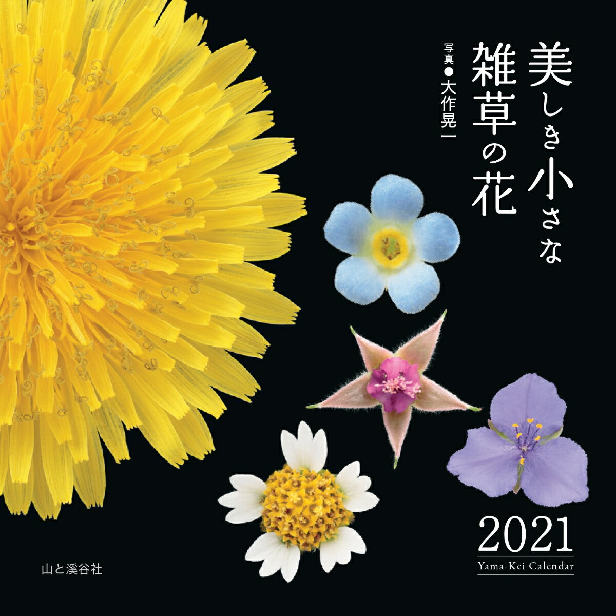 美しき小さな雑草の花カレンダー（2021）