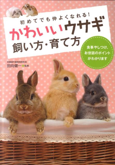 かわいいウサギ飼い方・育て方