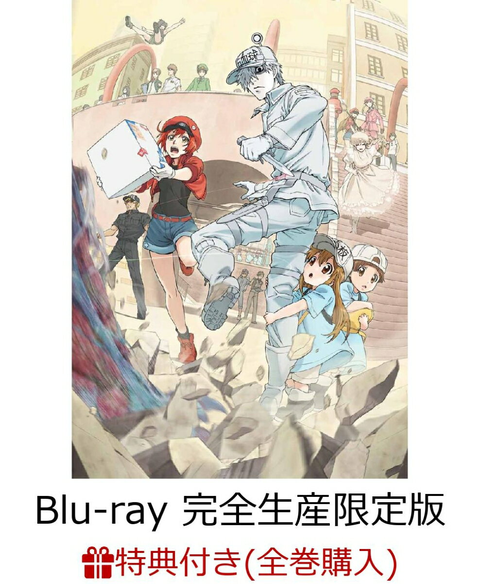 【全巻購入特典対象】はたらく細胞 7(完全生産限定版)【Blu-ray】