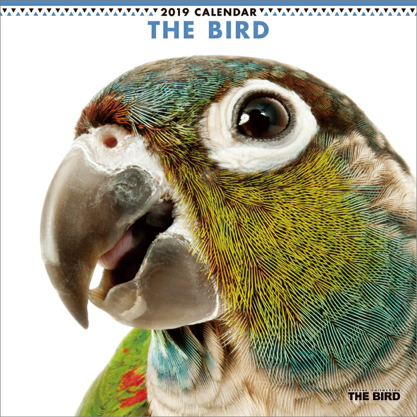 THE BIRD（2019年1月始まりカレンダー）