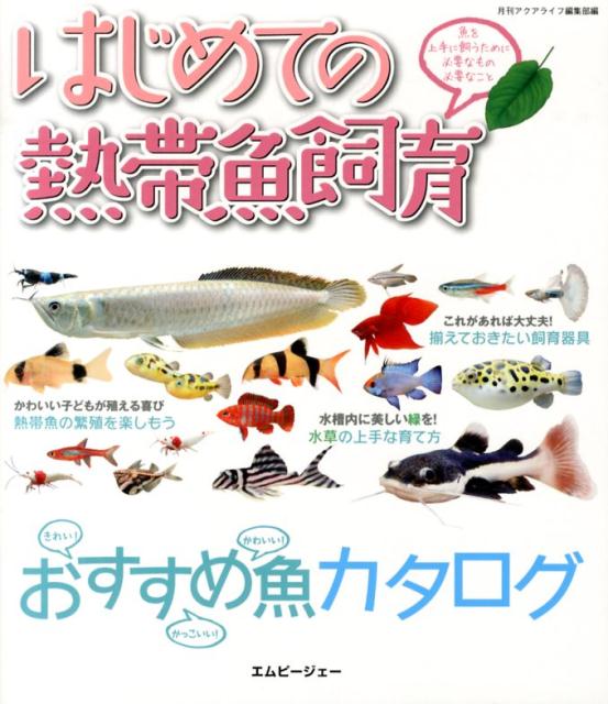 はじめての熱帯魚飼育