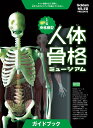 人体骨格ミュージアム 光る1／6骨格模型 （科学と学習PRESENTS） [ 坂井建雄 ]