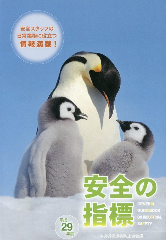 安全の指標（平成29年度）