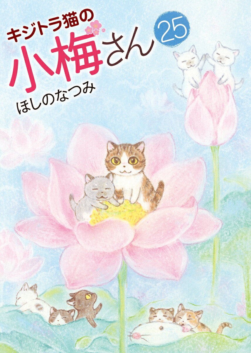 楽天市場】キジトラ猫の小梅さん セットの通販 楽天市場】キジトラ猫の小梅さん セットの通販