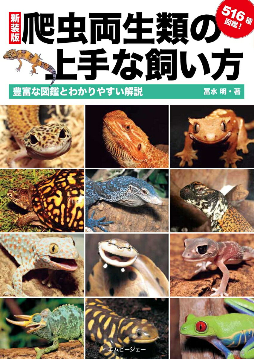 爬虫両生類の上手な飼い方
