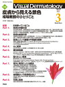 Visual D． 2021年3月号 Vol．20 No．3 （Visual．Dermatology） ヴィジュアルダーマトロジー編集委員会