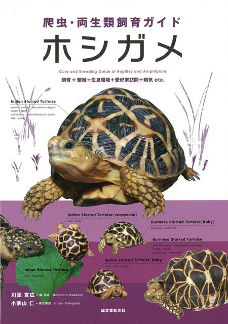 【バーゲン本】ホシガメー爬虫・両生類飼育ガイド