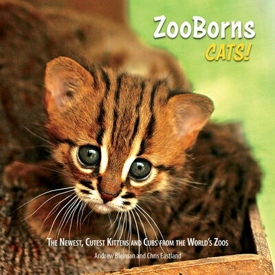 ZooBorns Cats!: The Newest, Cutest Kittens and Cubs from the World's Zoos ZOOBORNS CATS （Zooborns） [ Andrew Bleiman ]