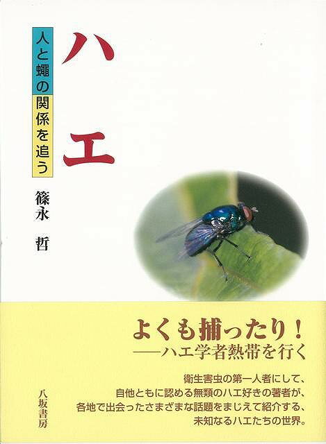 【バーゲン本】ハエー人と蠅の関係を追う