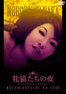 牝猫たちの夜 [ 桂知子 ]