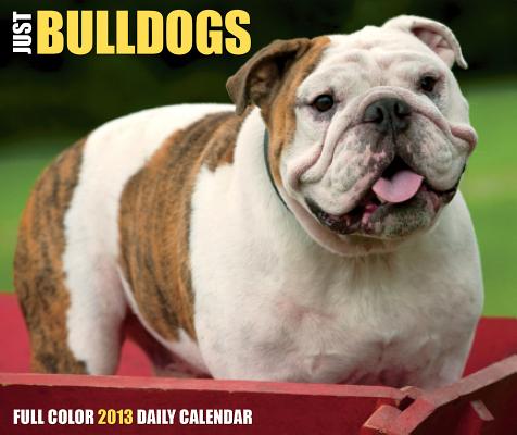 Just Bulldogs 2013 Box Calendar CAL 2013-JUST BULL ...