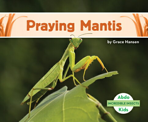 Praying Mantis PRAYING MANTIS （Incredible Insects） [ Grace Hansen ]