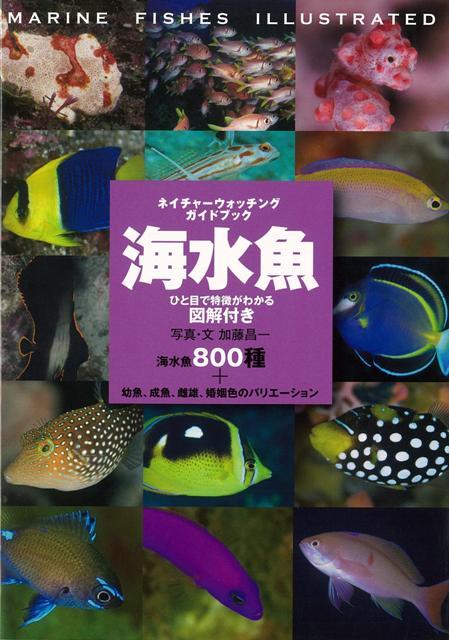 【バーゲン本】海水魚ーひと目で特徴がわかる図解付き